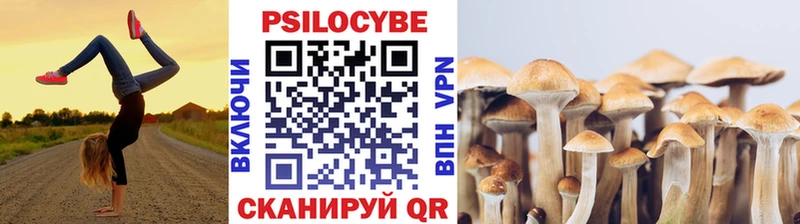 Псилоцибиновые грибы мухоморы  Купить где  Алатырь 